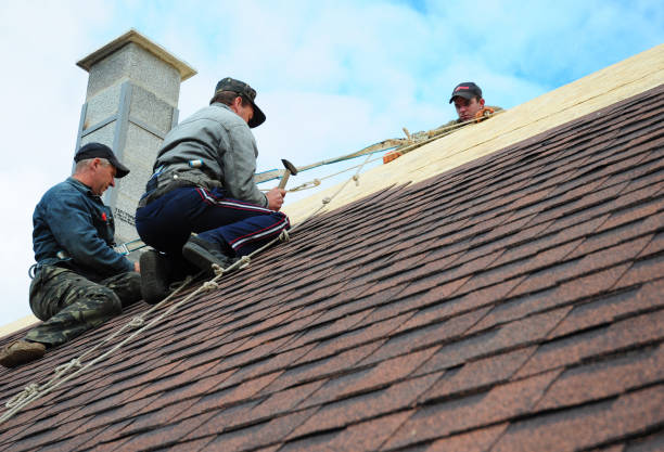 Best Local Roofing Companies  in Chesterbrook, PA